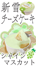 新雪シャイン　ショップサイト用